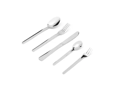 Broad Modern Handle Stainless Steel Flatware Set