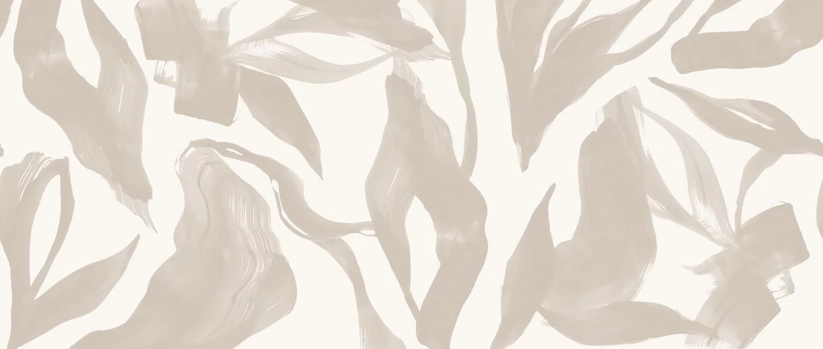 collection-banner-image