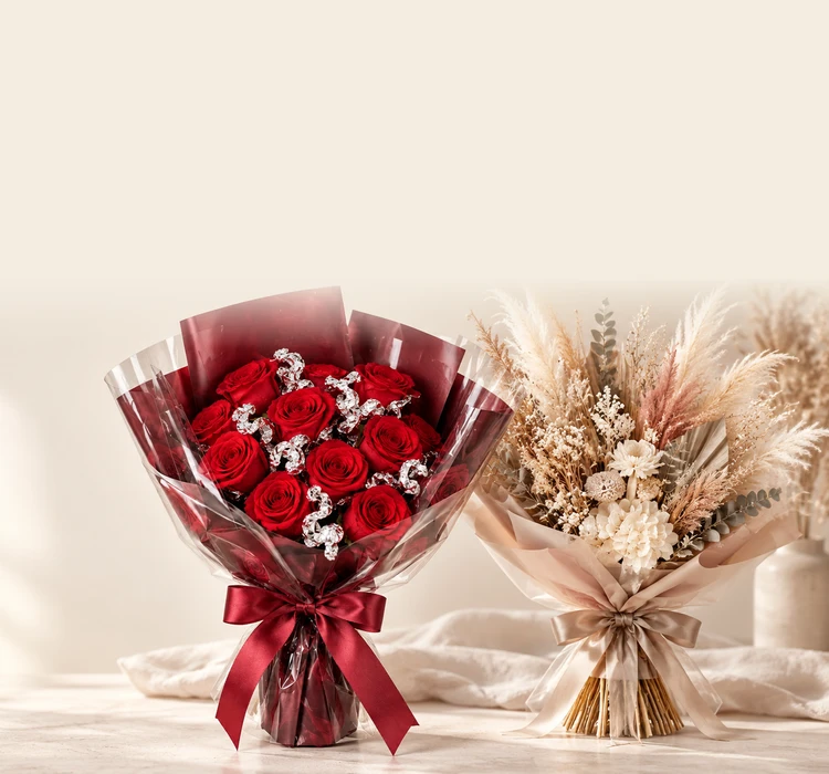 collection-banner-image