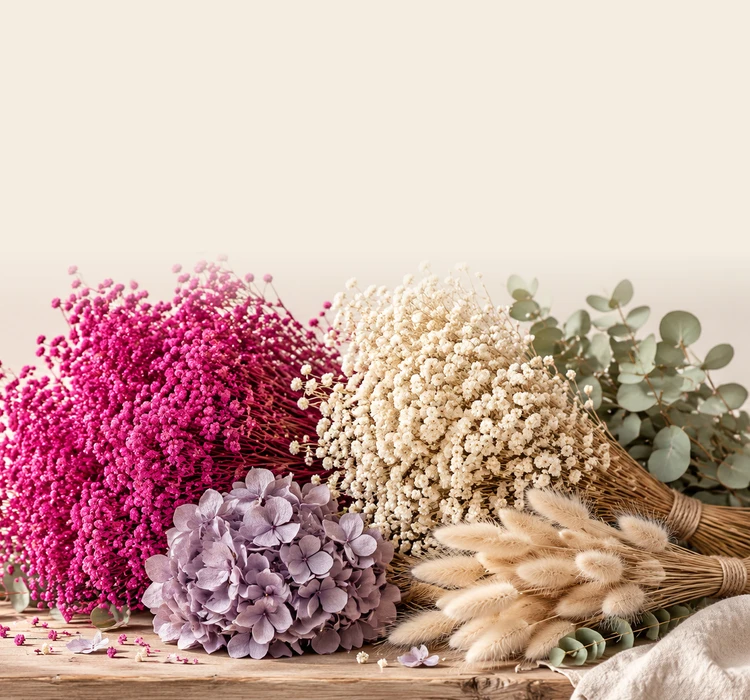 collection-banner-image