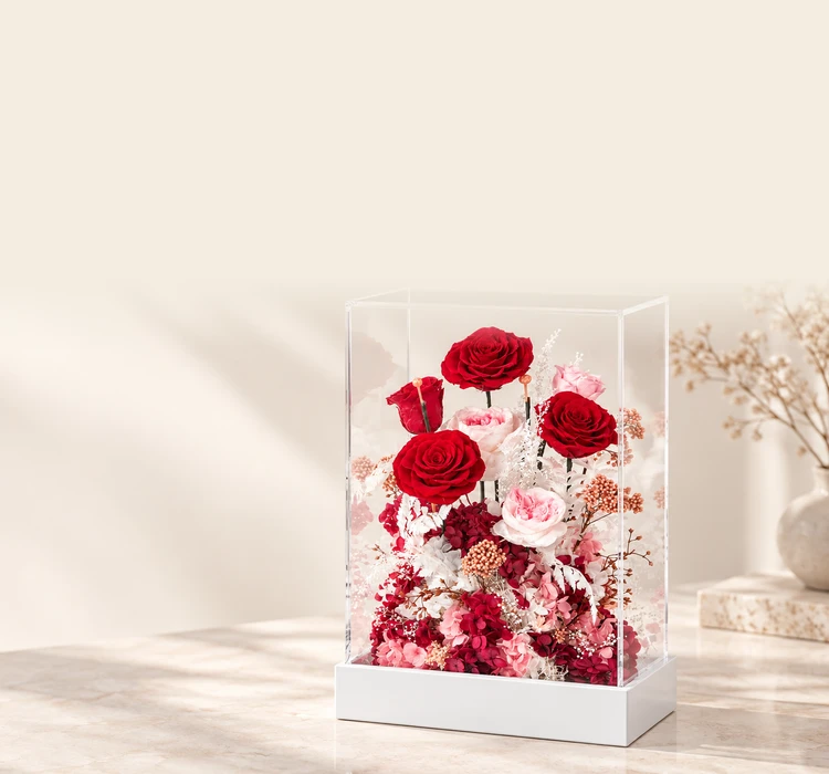 collection-banner-image