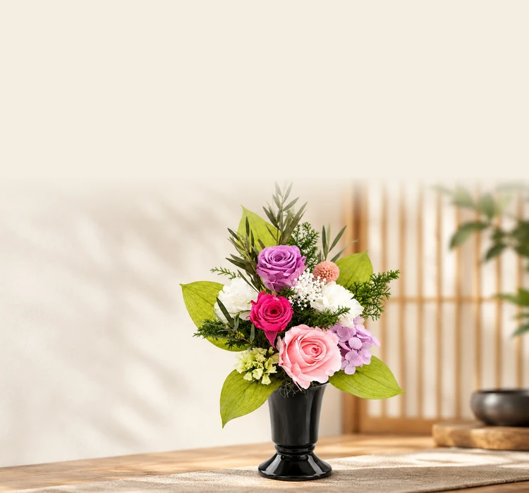 collection-banner-image