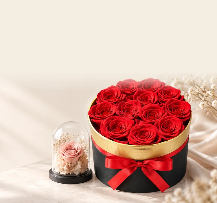 collection-banner-image