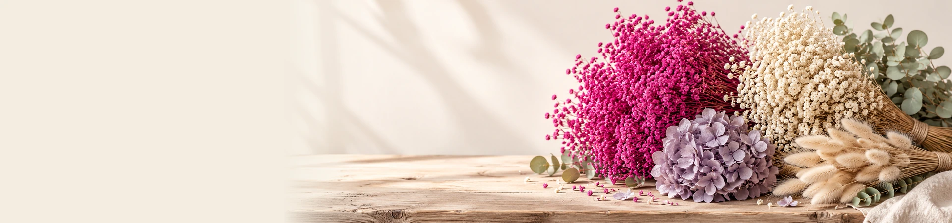 collection-banner-image