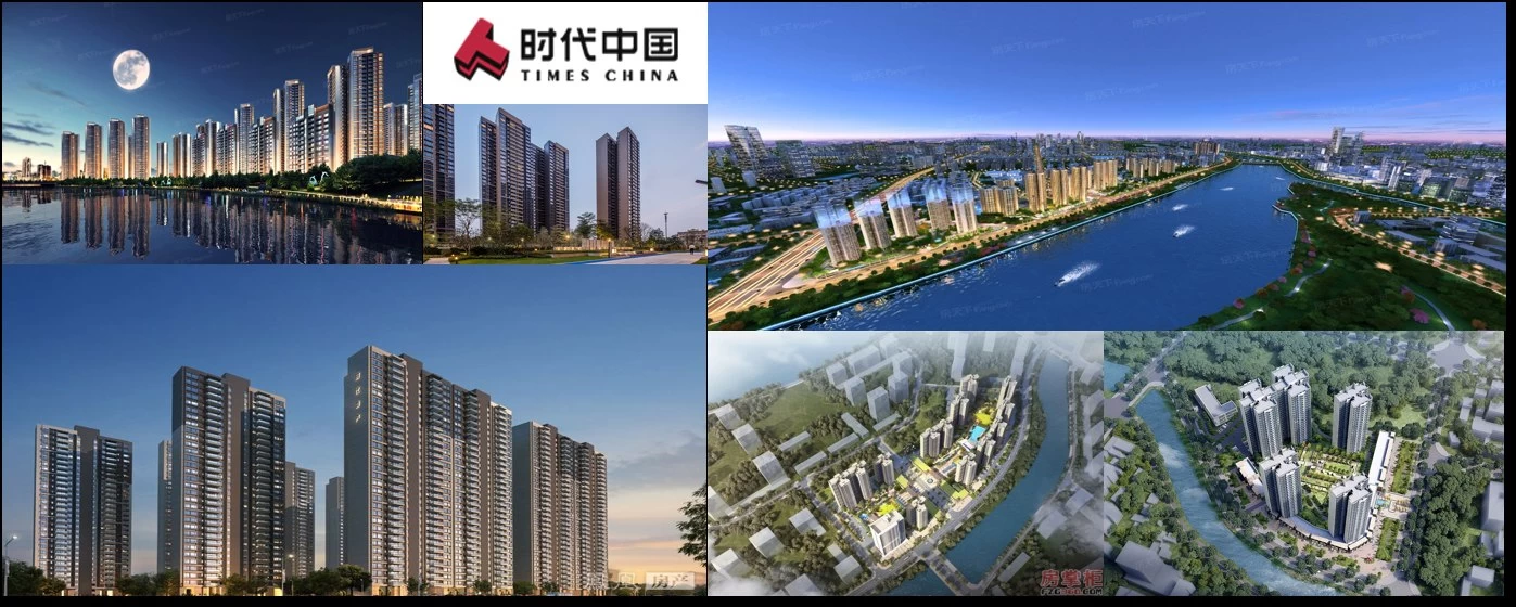 Hongxin Electric industry partner
