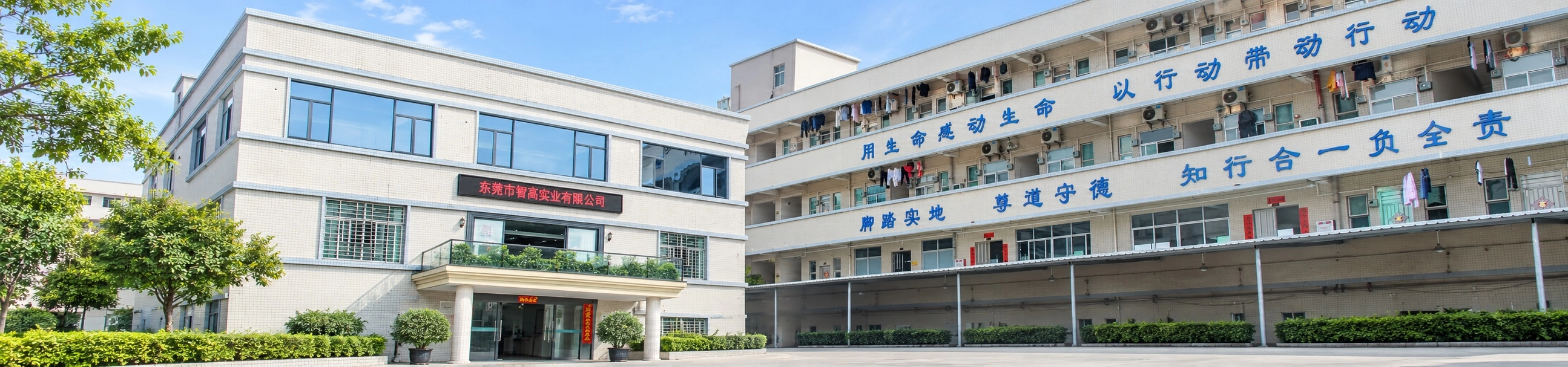 About Zhigao Banner