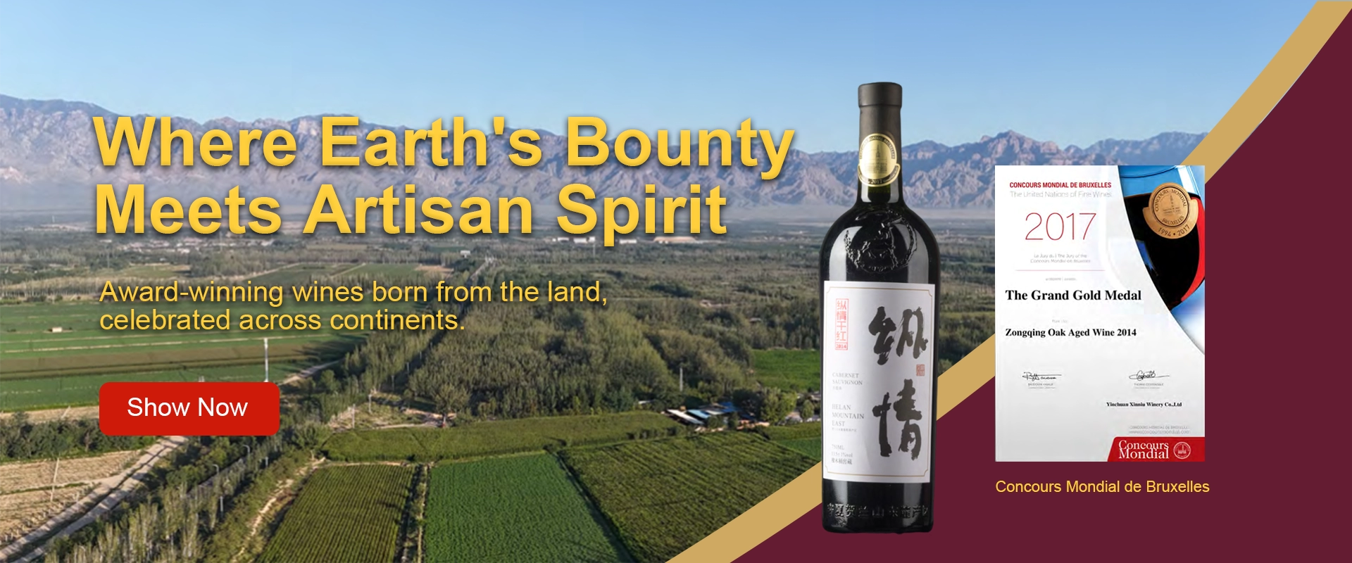 slider image slider_item_2