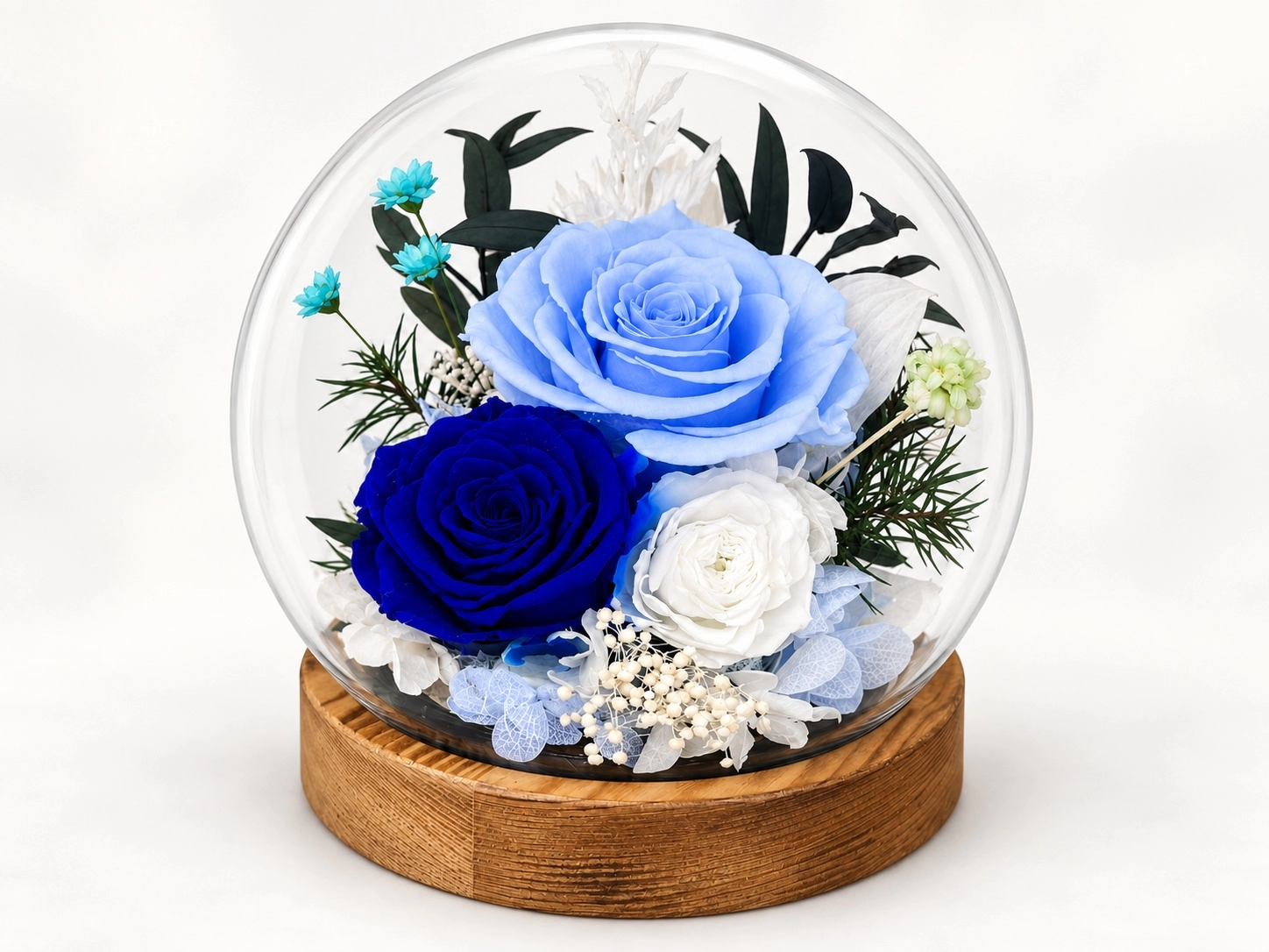 A flower, beautifully framed.