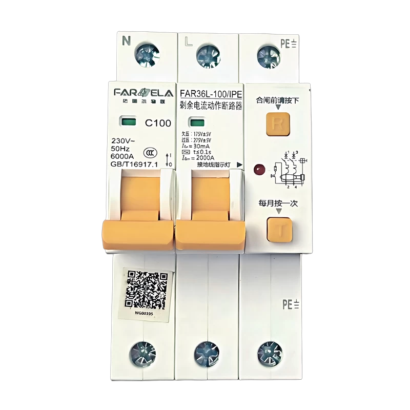 220V 100A Basic Model