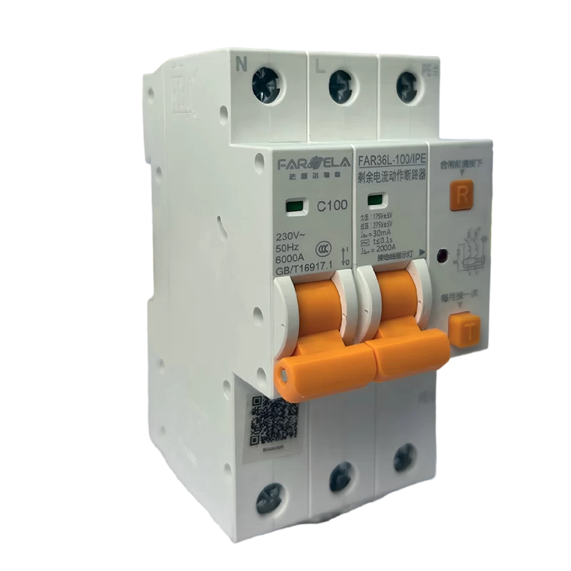 220V 100A Basic Model