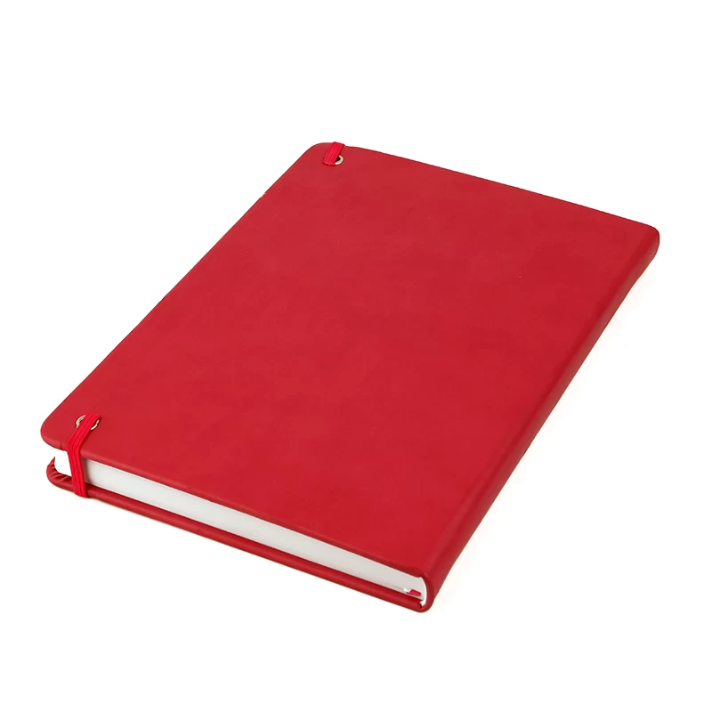 The advocate planner