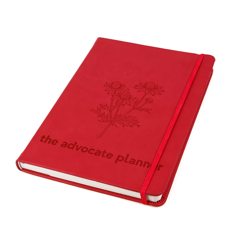 The advocate planner