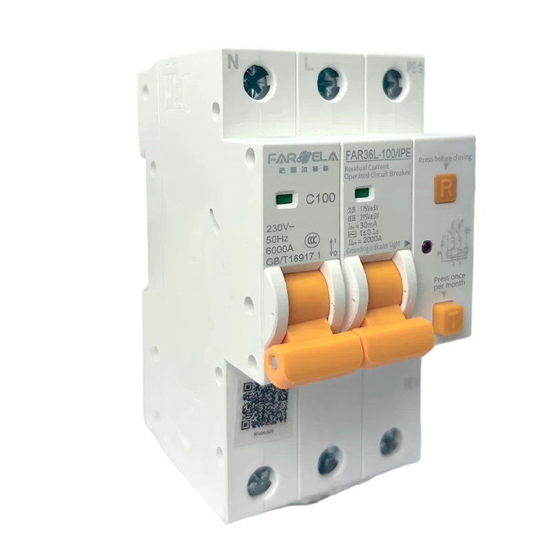 220V 100A Basic Model