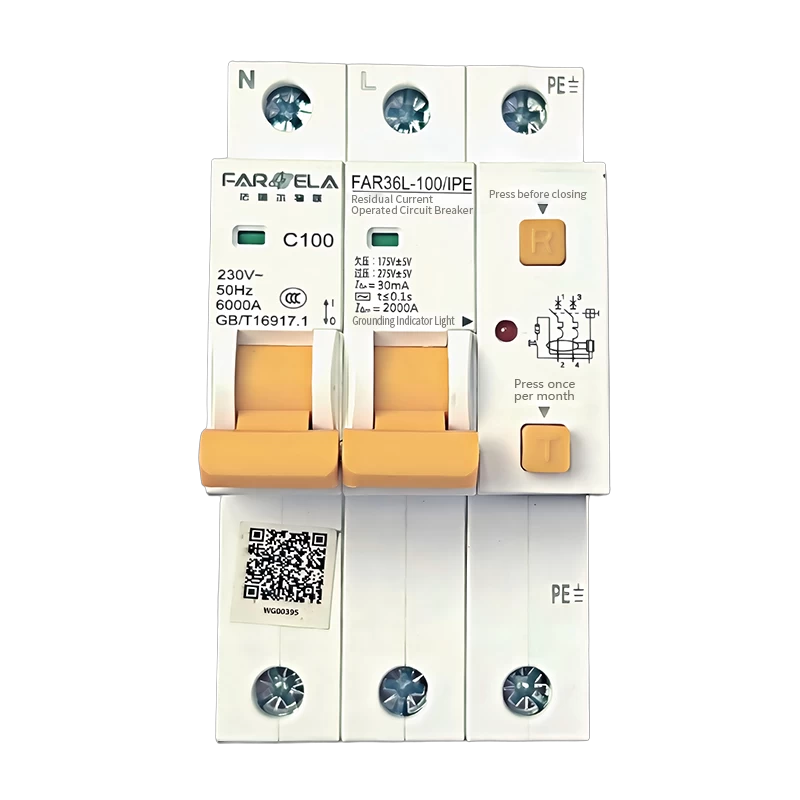220V 100A Basic Model