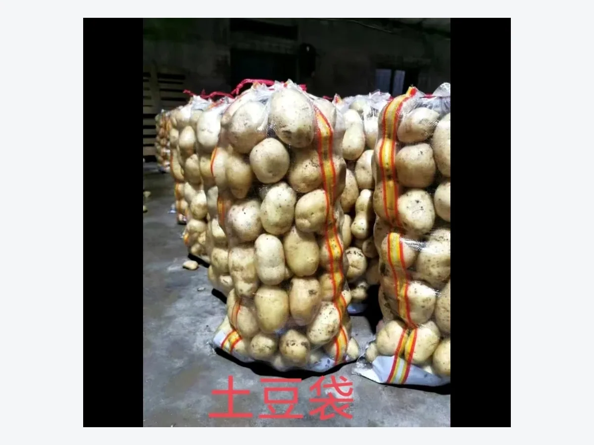 Potatoes packed in ventilated PP woven produce bags