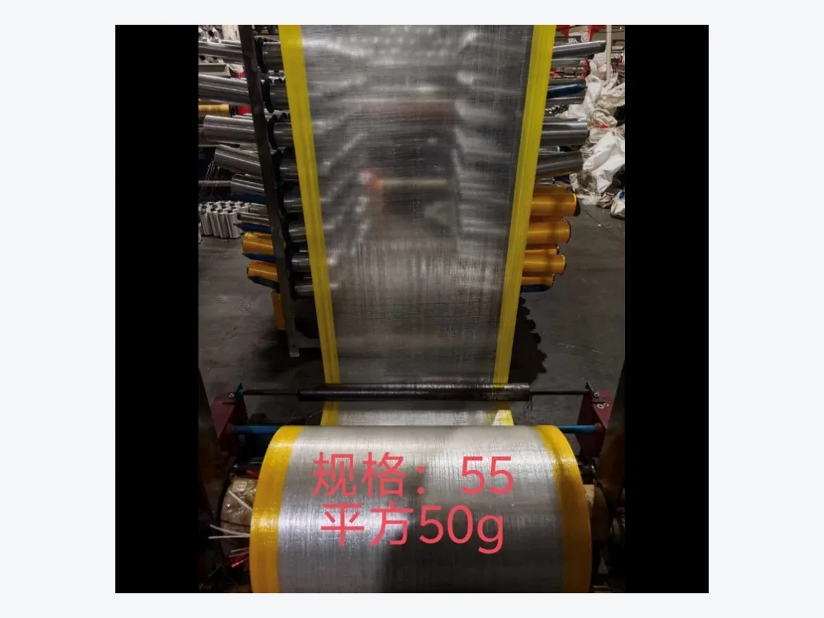Transparent PP woven bag showing the woven surface