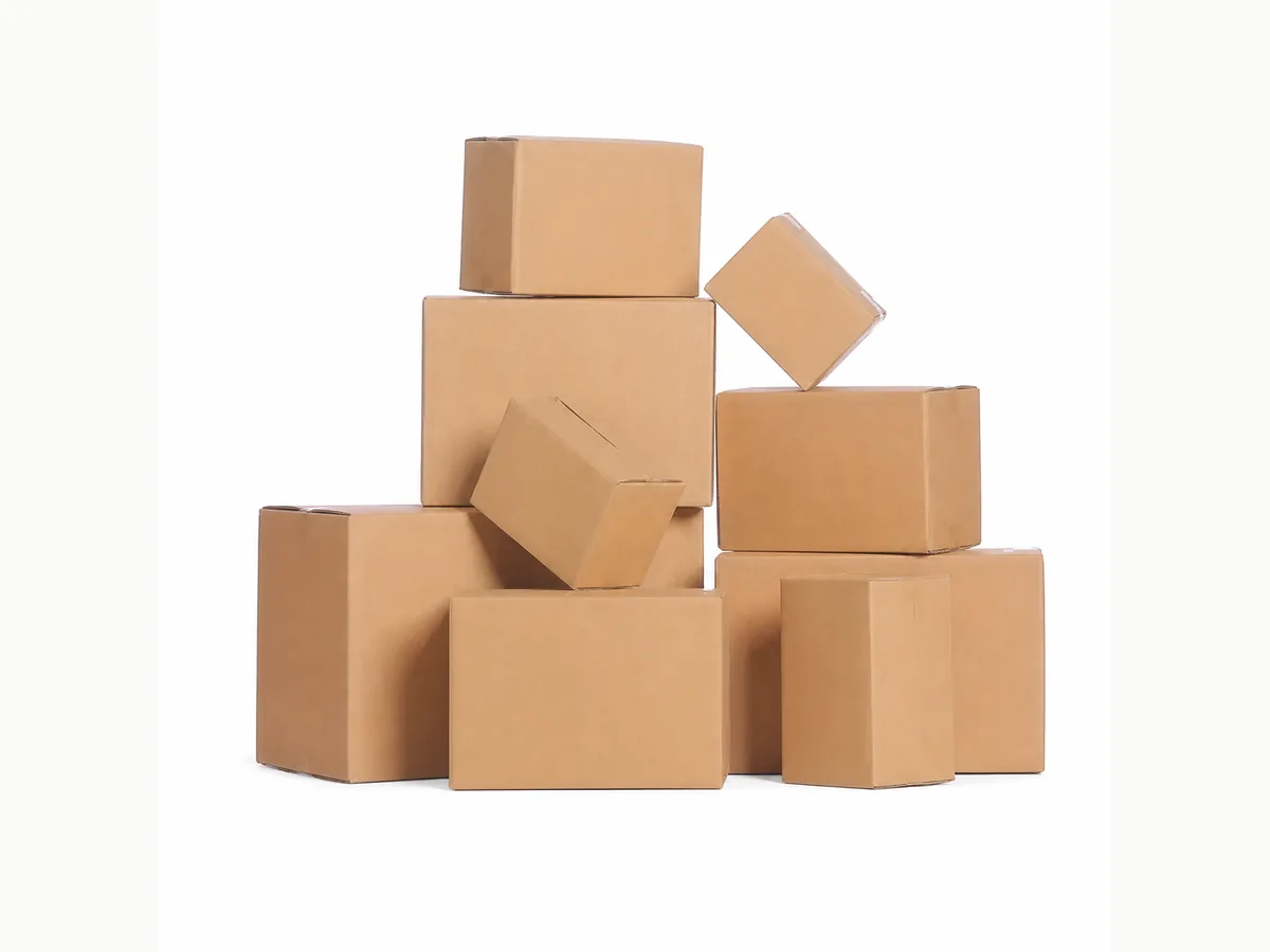 Die-cut corrugated carton details for custom packaging review